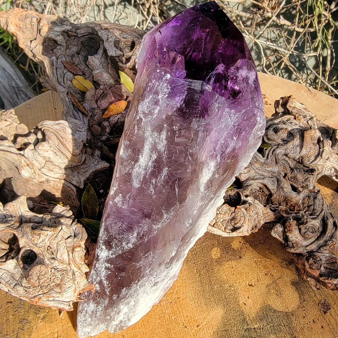 Elestial Amethyst, Bahia's Secret: Dragon’s Tooth Elestial Wands - SOUTHBAYSALTS