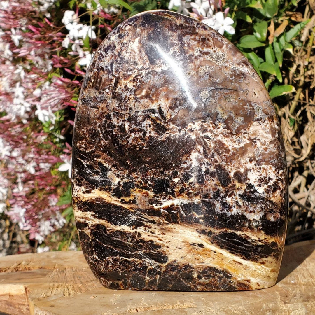 Polished Black Opal Jasper Protection and Grounding Stone - SOUTHBAYSALTS