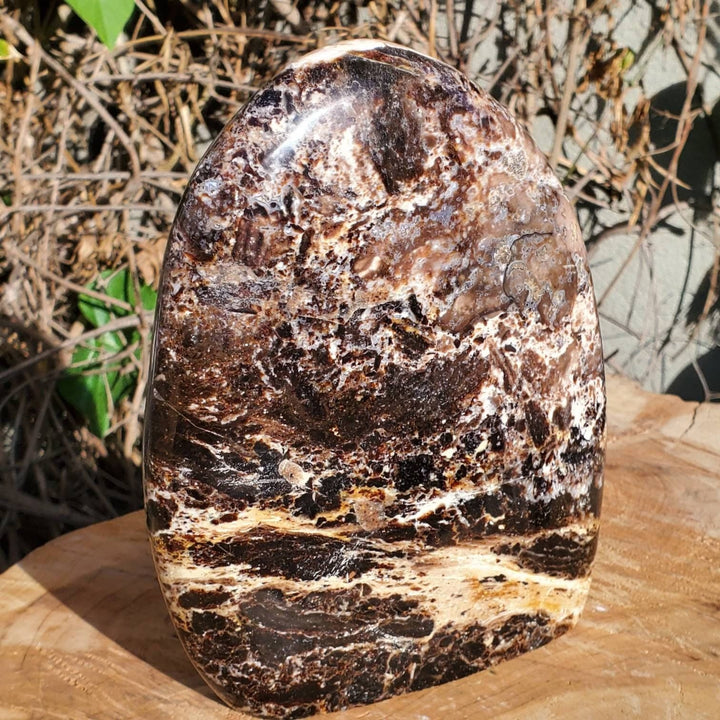 Polished Black Opal Jasper Protection and Grounding Stone - SOUTHBAYSALTS