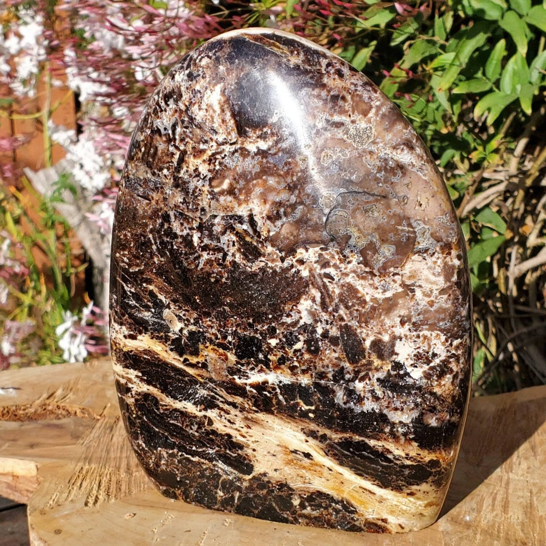 Polished Black Opal Jasper Protection and Grounding Stone - SOUTHBAYSALTS