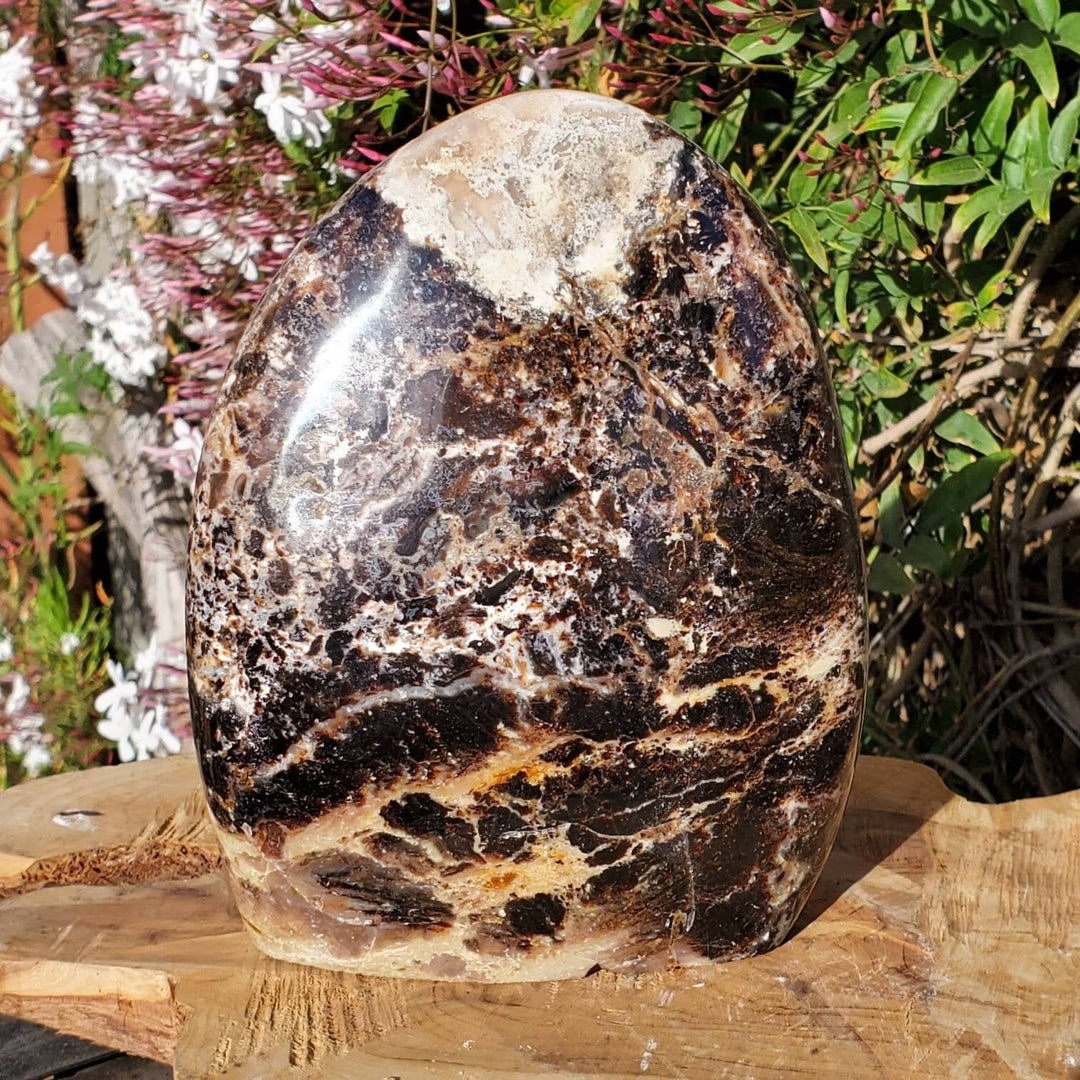 Polished Black Opal Jasper Protection and Grounding Stone - SOUTHBAYSALTS