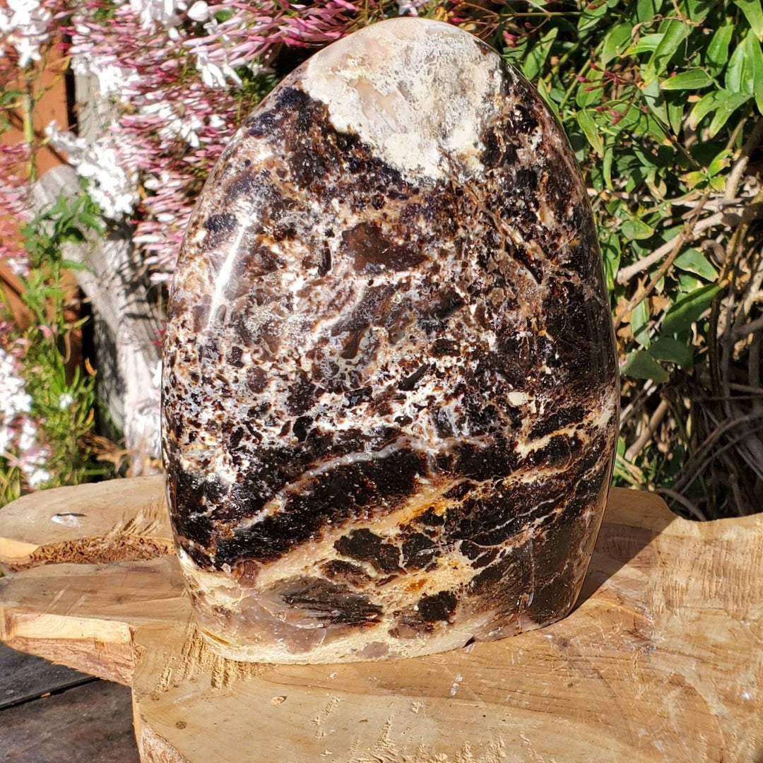 Polished Black Opal Jasper Protection and Grounding Stone - SOUTHBAYSALTS