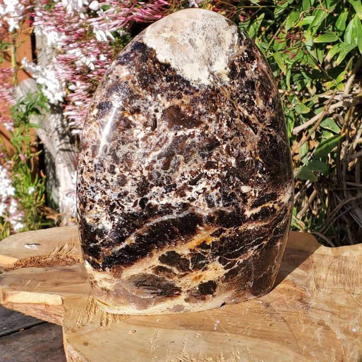 Polished Black Opal Jasper Protection and Grounding Stone - SOUTHBAYSALTS