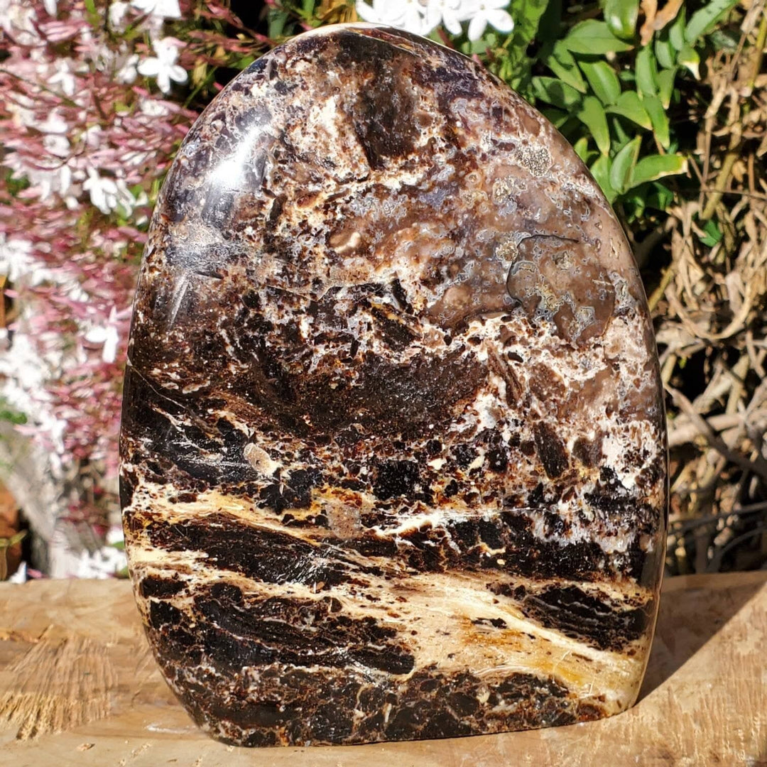 Polished Black Opal Jasper Protection and Grounding Stone - SOUTHBAYSALTS