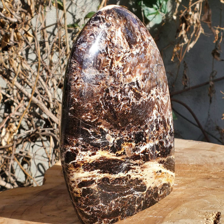 Polished Black Opal Jasper Protection and Grounding Stone - SOUTHBAYSALTS