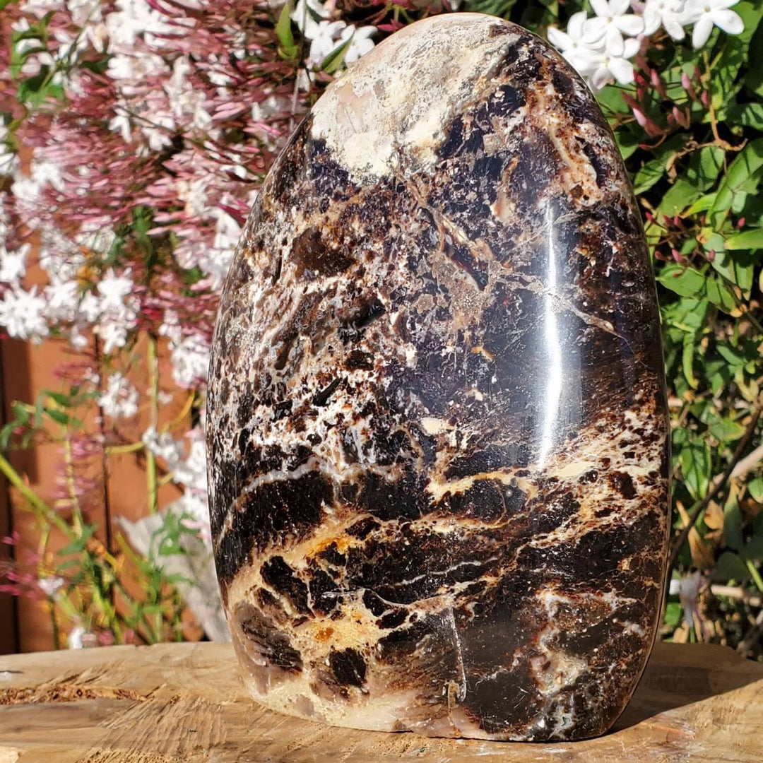 Polished Black Opal Jasper Protection and Grounding Stone - SOUTHBAYSALTS