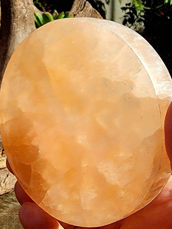 Orange Selenite Tree of Life Plate, Morrocan Selenite Tree of Life Plate - SOUTHBAYSALTS