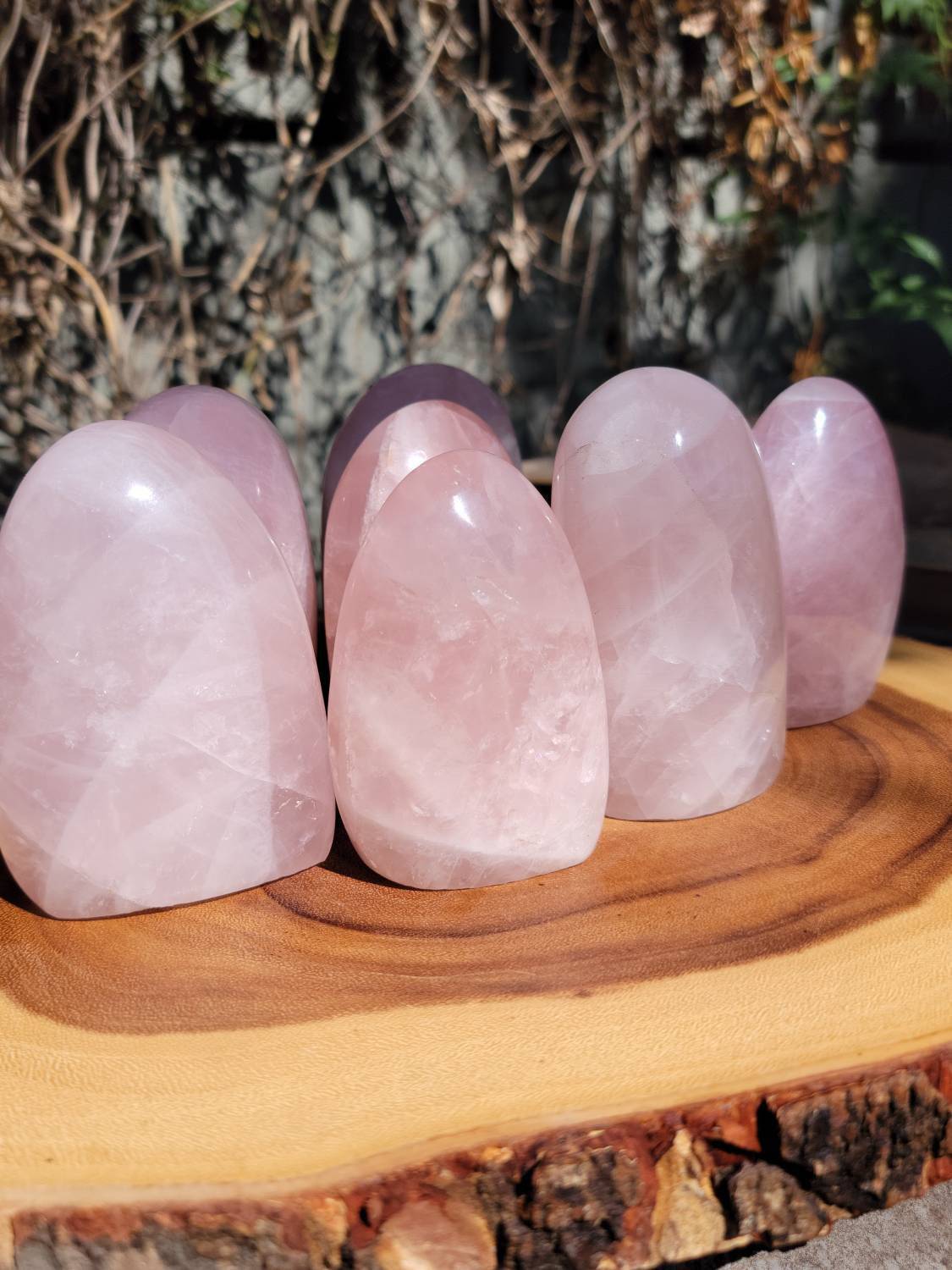 Polished Rose Quartz Freeforms, Polished Rose Quartz, Self Love and Love for others Crystal - SOUTHBAYSALTS
