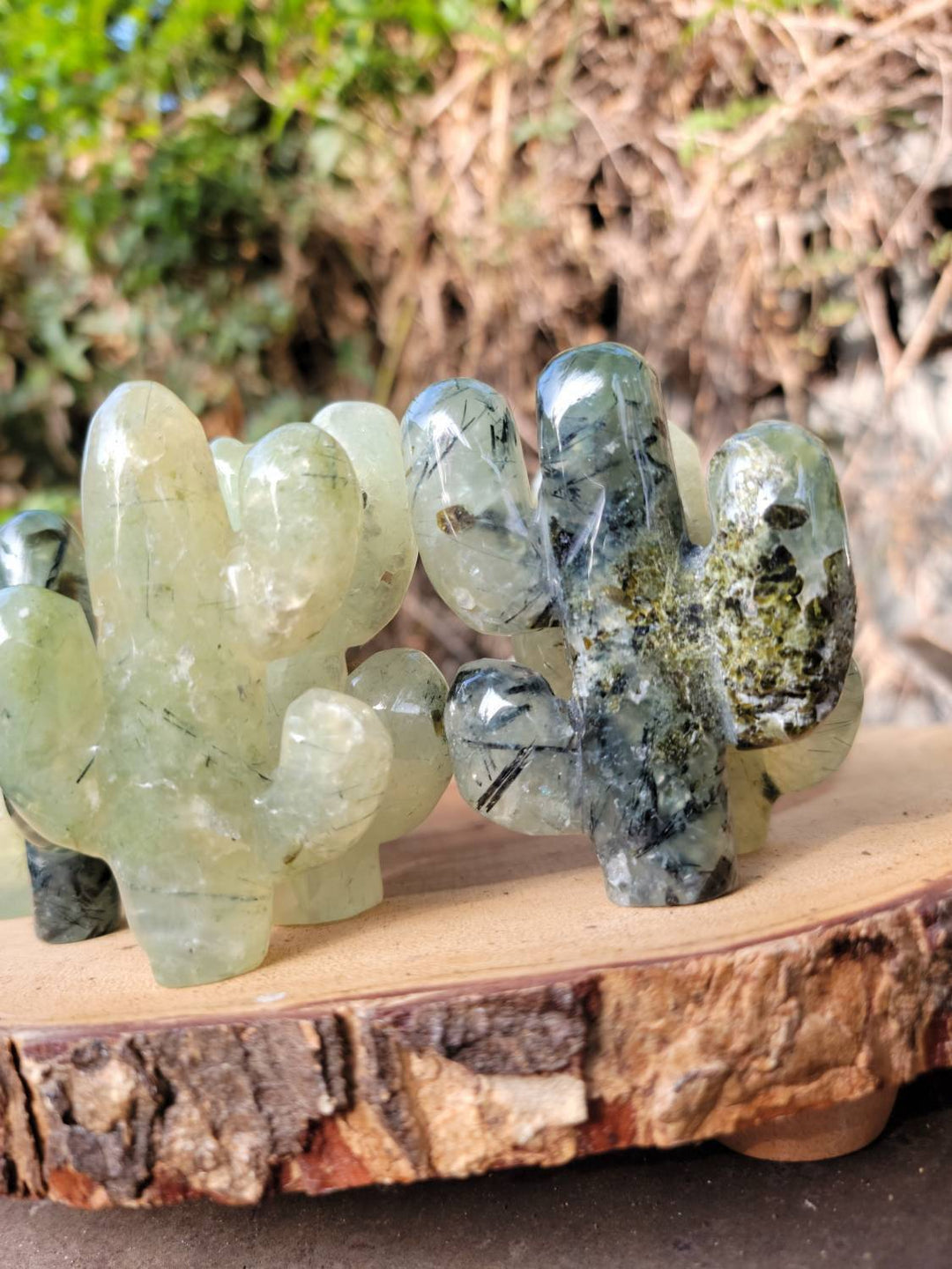 Prehnite Cactus with Epidote, Polished Prehnite, The Healers Healing Stone - SOUTHBAYSALTS