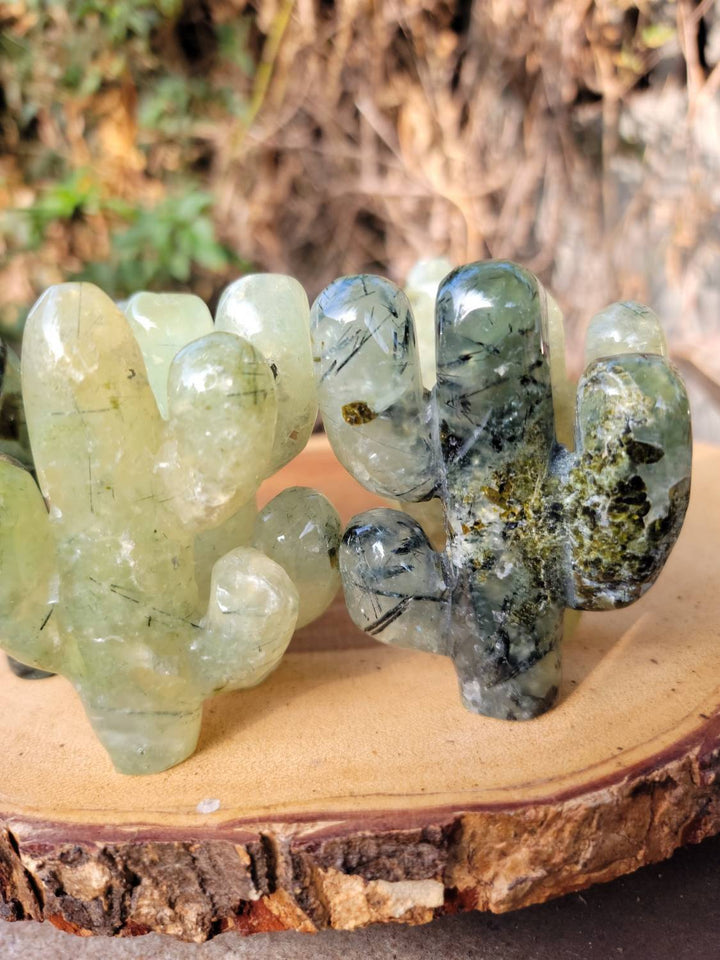 Prehnite Cactus with Epidote, Polished Prehnite, The Healers Healing Stone - SOUTHBAYSALTS